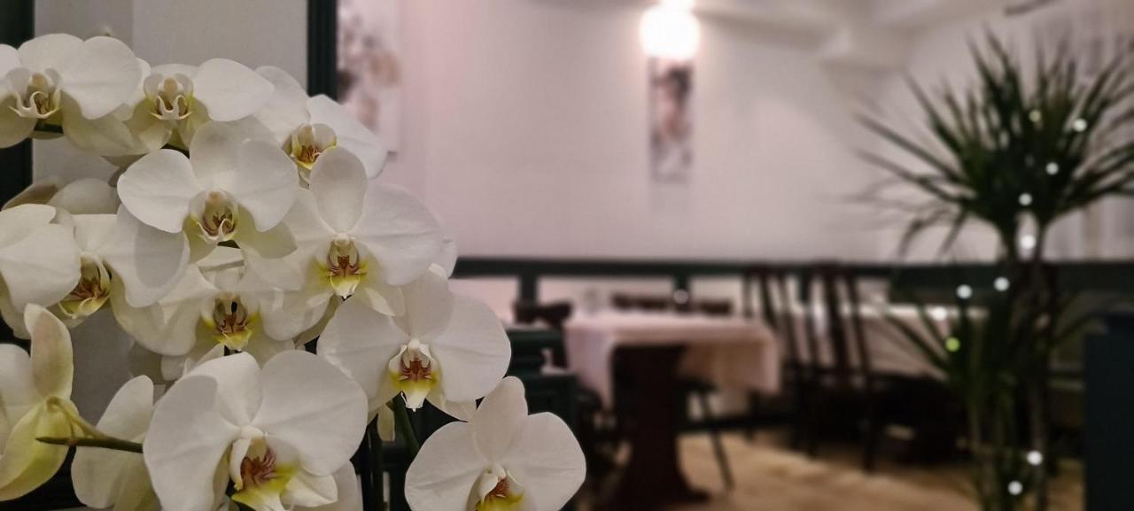 שטוטגרט Hotel Lamm מראה חיצוני תמונה